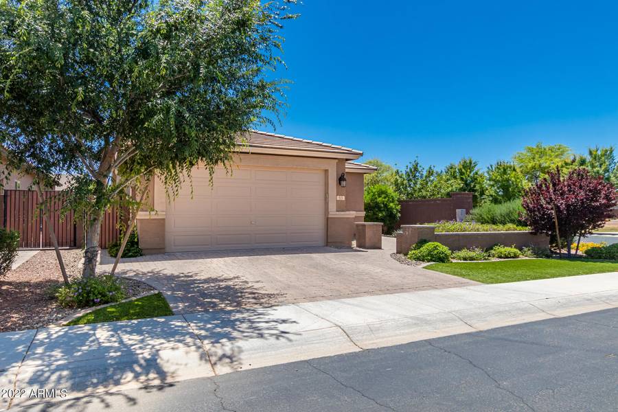 515 W FLAME TREE Avenue, San Tan Valley, AZ 85140