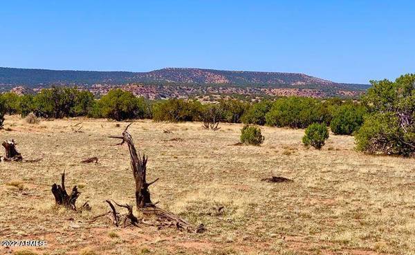 Concho, AZ 85924,Ranch -- #Unit 5 Lot 171