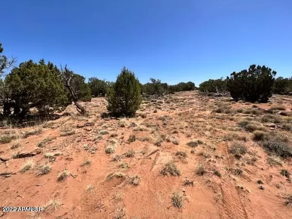 Concho, AZ 85924,Ranch -- #Unit 5 Lot 171