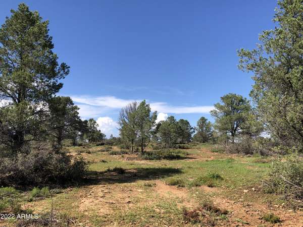 Peeples Valley, AZ 86332,17 W Buckhorn Drive #M