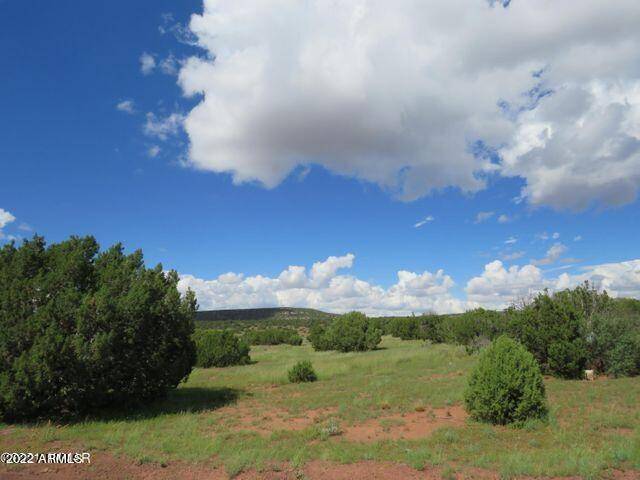 19 & 23 Co Rd 8056 -- #-, Concho, AZ 85924