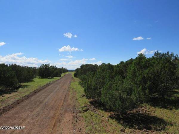 Concho, AZ 85924,19 & 23 Co Rd 8056 -- #-