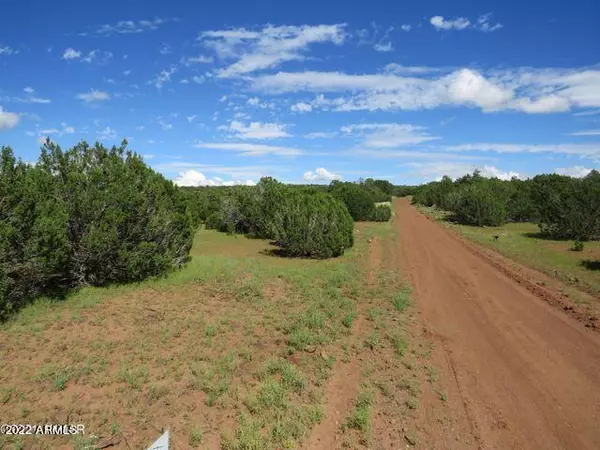 Concho, AZ 85924,19 & 23 Co Rd 8056 -- #-