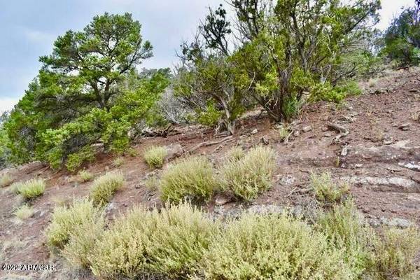 Vernon, AZ 85940,110 County Rd N3133 -- #-