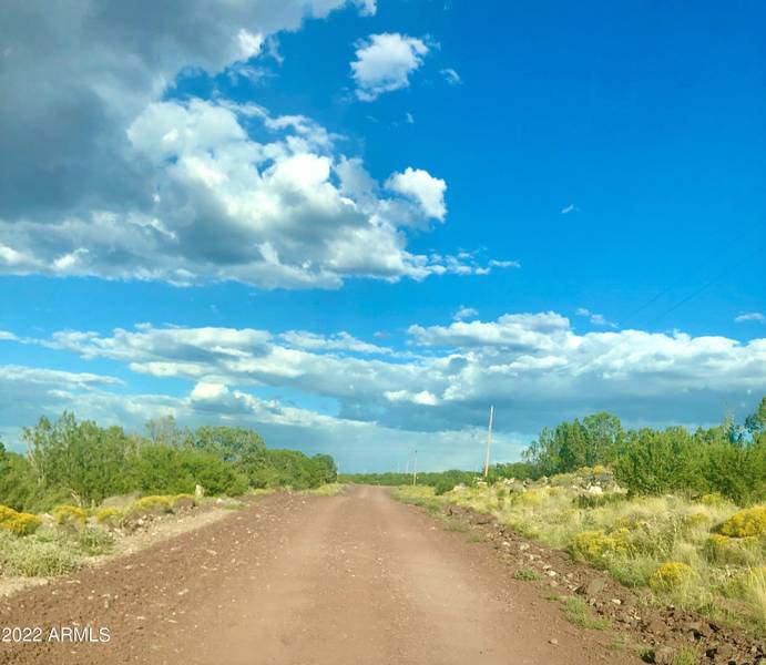 N Concho Creek Drive -- N #2, Concho, AZ 85924