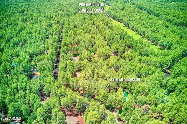 Pinetop, AZ 85935,8318 Wild Horse Road