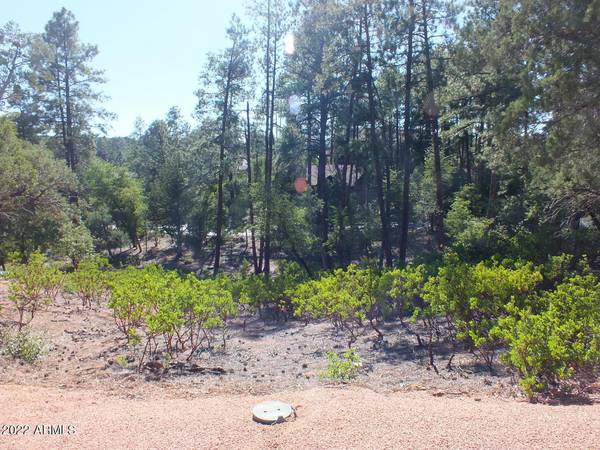 Payson, AZ 85541,2418 E Scarlet Bugler Circle #734