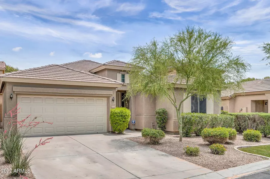 1167 N CHOLLA Street, Chandler, AZ 85224