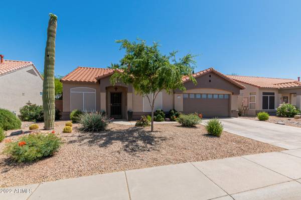 Sun City West, AZ 85375,13541 W CAVALCADE Drive