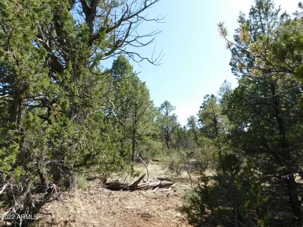 Happy Jack, AZ 86024,8630 Mogollon Trail #112