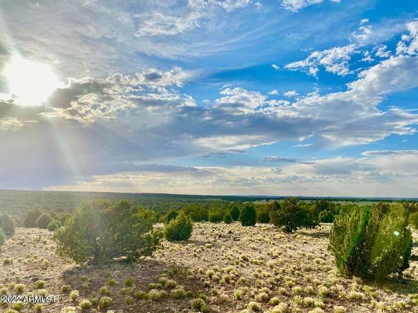 Show Low, AZ 85901,Silver Lake Blvd Parcel C -- #3