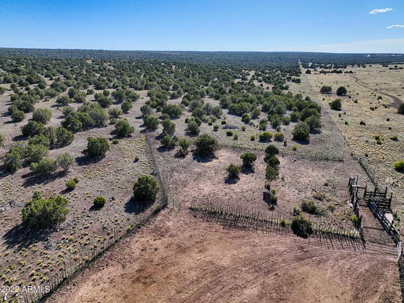 Silver Lake Blvd Parcel C -- #3, Show Low, AZ 85901