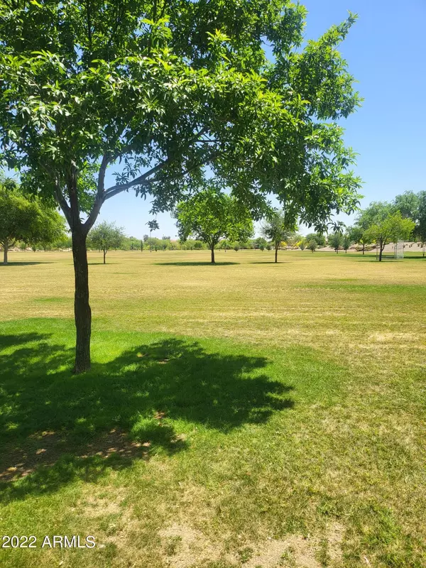 Litchfield Park, AZ 85340,13737 W SOLANO Drive