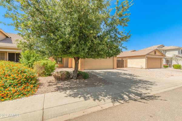 San Tan Valley, AZ 85144,1906 W Appaloosa Way