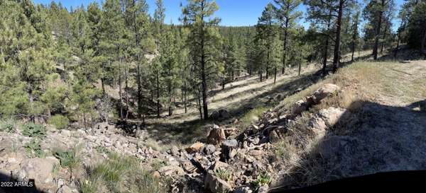 Happy Jack, AZ 86024,621 ELK RIDGE Drive