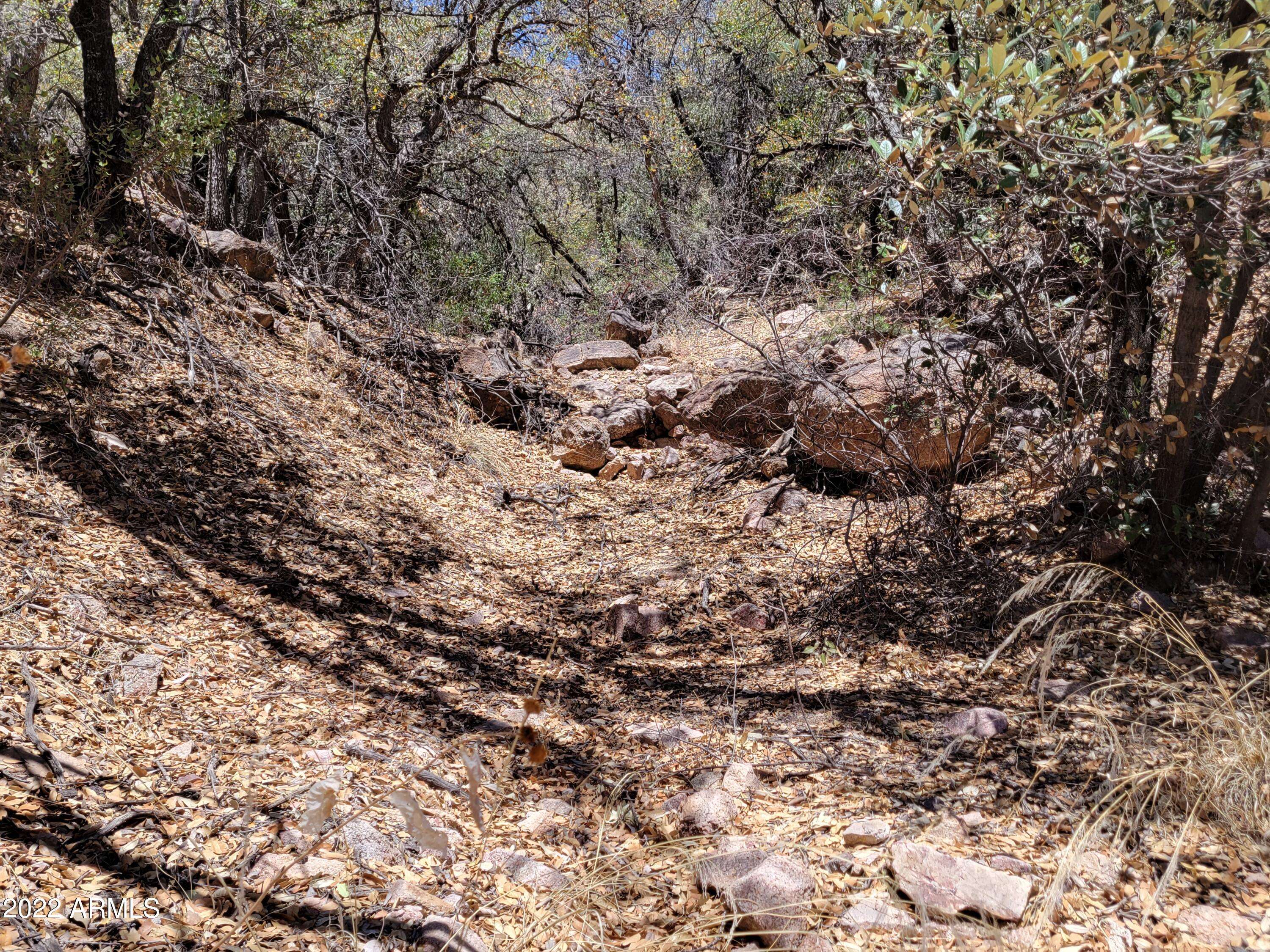 43 W Mule Pass Road #103-39-001C, Bisbee, AZ 85603