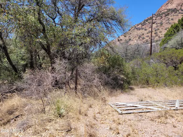 Bisbee, AZ 85603,43 W Mule Pass Road #103-39-001C