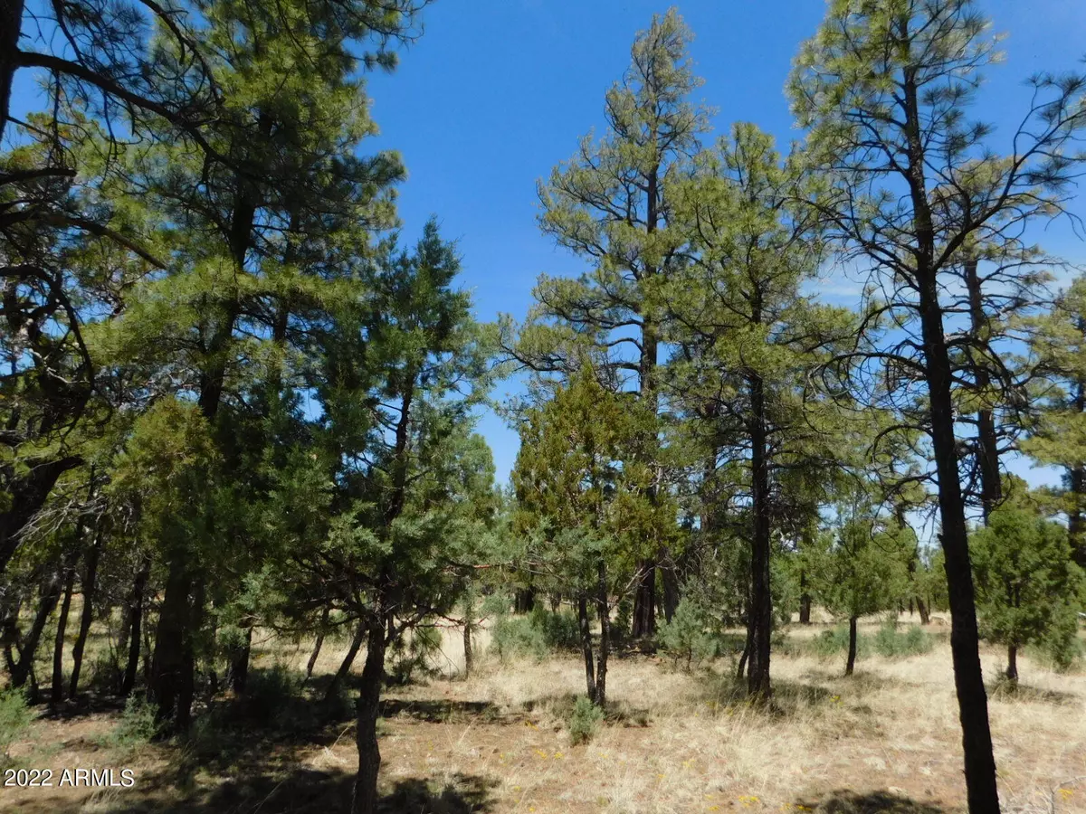 Happy Jack, AZ 86024,4995 Starlight Drive #150