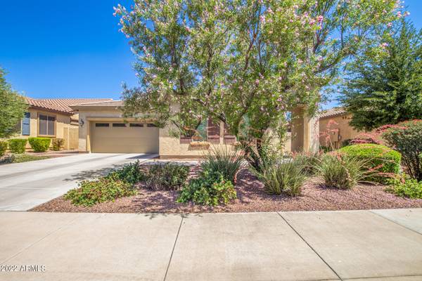 Litchfield Park, AZ 85340,14916 W LUNA Drive N