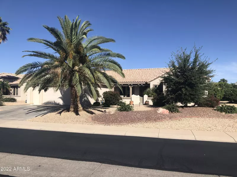 20314 N PALM CANYON Drive, Surprise, AZ 85374