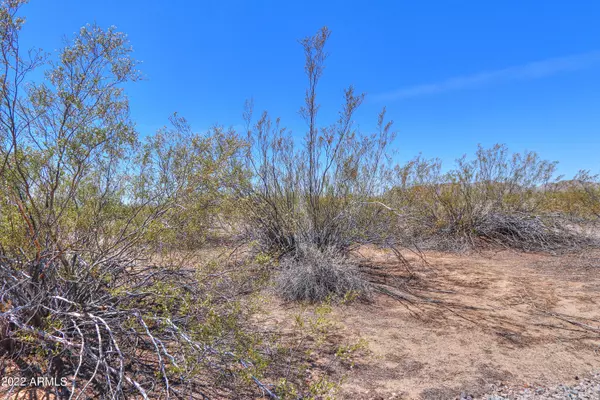 Maricopa, AZ 85139,0 W Century Road #-