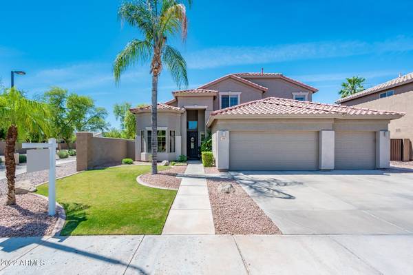 Chandler, AZ 85248,741 W LOCUST Drive