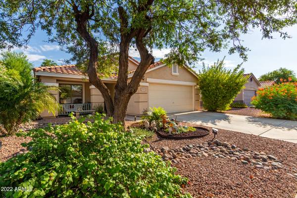 Surprise, AZ 85374,13864 W IRONWOOD Street