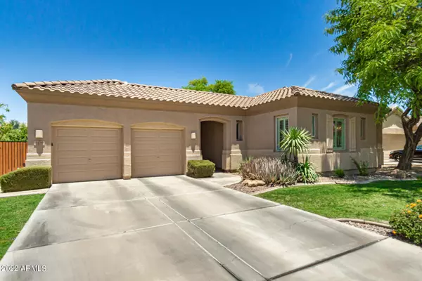 Chandler, AZ 85286,3230 E Lark Drive