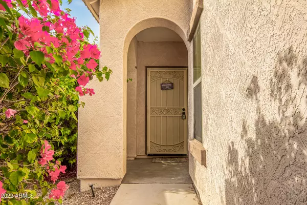 Surprise, AZ 85388,17244 W MAUI Lane