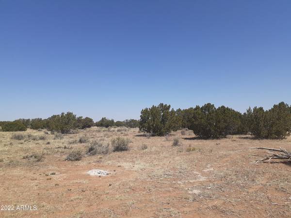 Heber, AZ 85928,10 BUFFINGTON HILL - 10 Acres Road #-