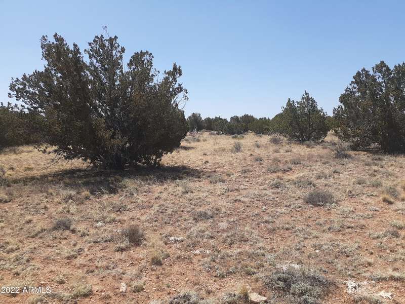 10 BUFFINGTON HILL - 10 Acres Road #-, Heber, AZ 85928