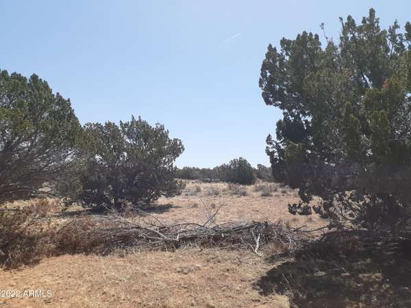 Heber, AZ 85928,10 BUFFINGTON HILL - 10 Acres Road #-