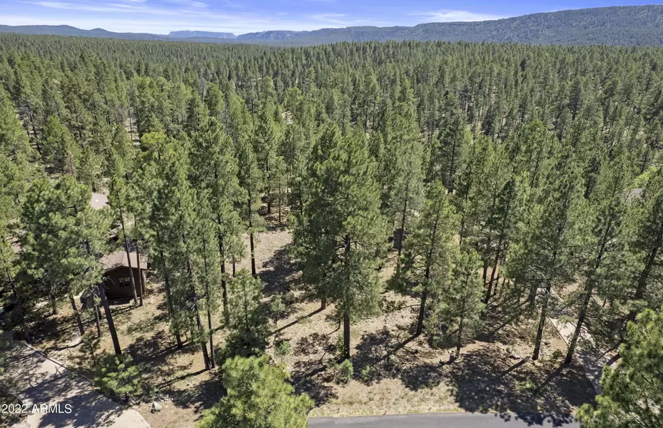 3452 Lee Doyle -- #343, Flagstaff, AZ 86005