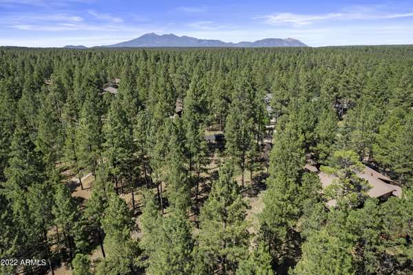 Flagstaff, AZ 86005,3452 Lee Doyle -- #343