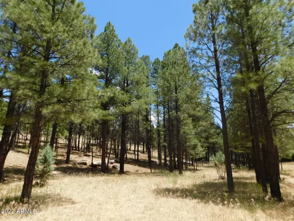 Happy Jack, AZ 86024,2807 Red Hawk Circle #48