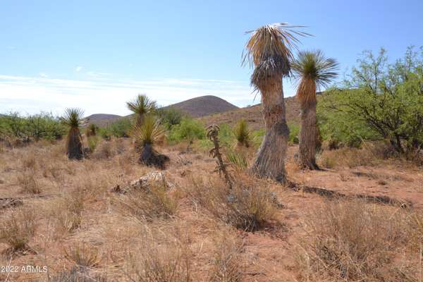 Elfrida, AZ 85610,0 Morgan Ranch Road #210