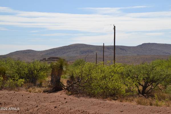 Elfrida, AZ 85610,0 Morgan Ranch Road #210