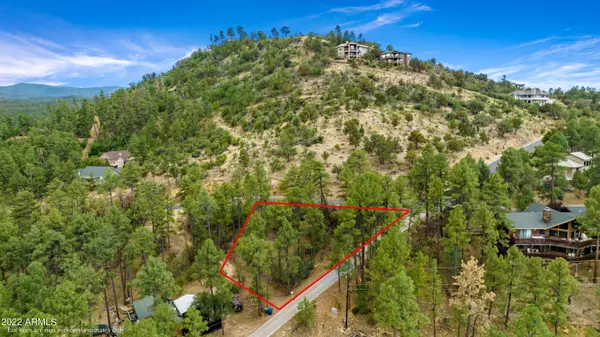 Prescott, AZ 86303,696 PETERSON Lane #-