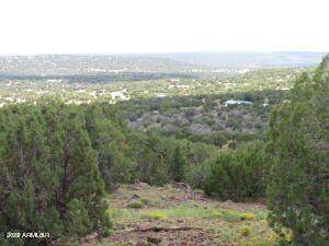 Pines Unit 10 Lot 382 -- #382, Concho, AZ 85924