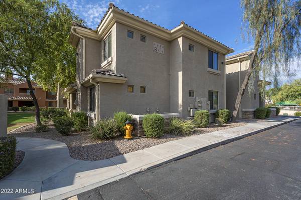 Chandler, AZ 85225,955 E KNOX Road #245