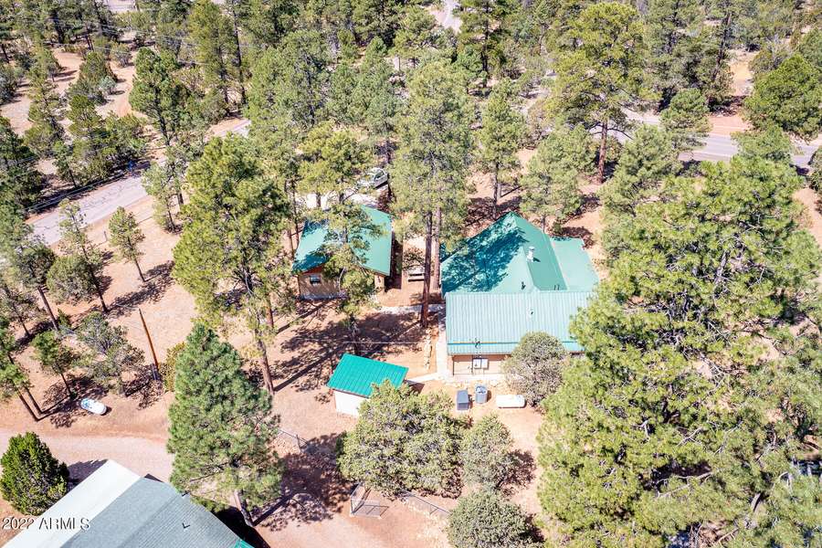 2080 FOREST PARK Drive, Overgaard, AZ 85933