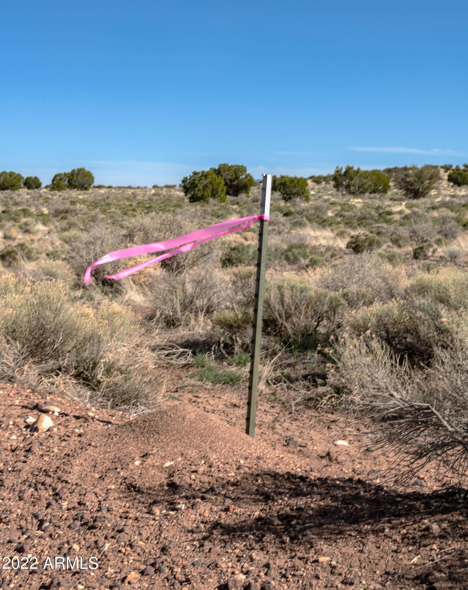 Williams, AZ 86046,7708 LATIGO Road #336A