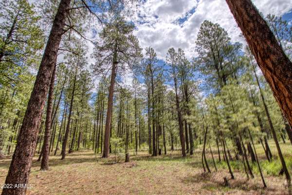 Pinetop, AZ 85935,8869 E COUNTRY CLUB Drive #29