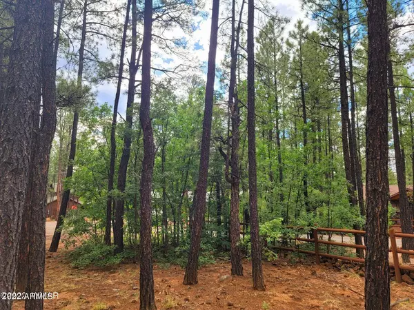 Pinetop, AZ 85935,7543 Sunset Circle #81