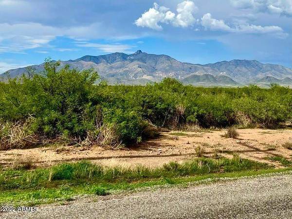 Willcox, AZ 85643,Arzberger Rd 20 Acres Lot A -- #-