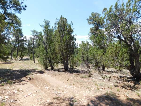 Heber, AZ 85928,1919 ELK Road #26