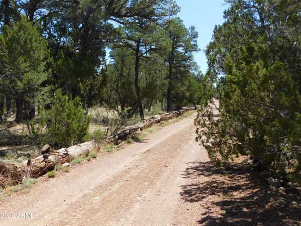 Heber, AZ 85928,1919 ELK Road #26