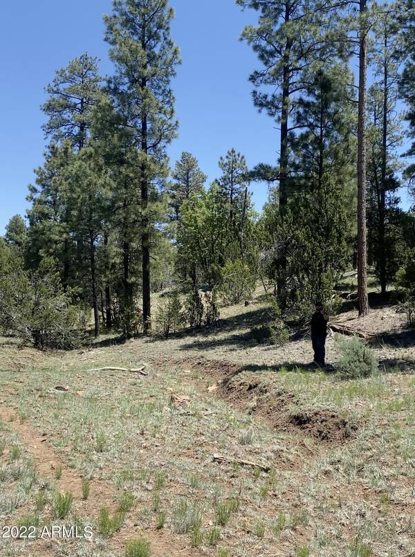 Happy Jack, AZ 86024,4108 SUNSET RIDGE Loop #135