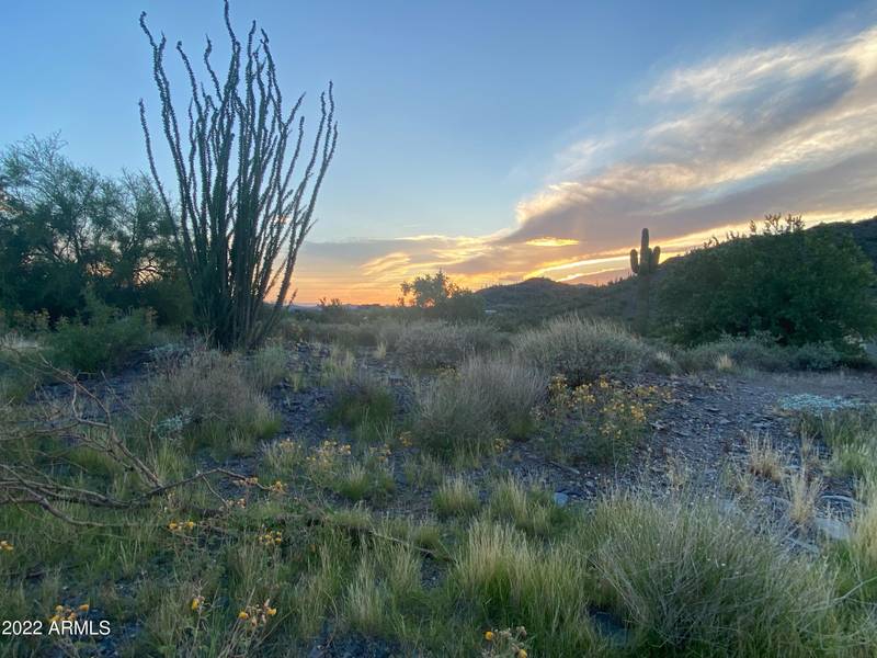 36250 N 58TH Street #38, Cave Creek, AZ 85331