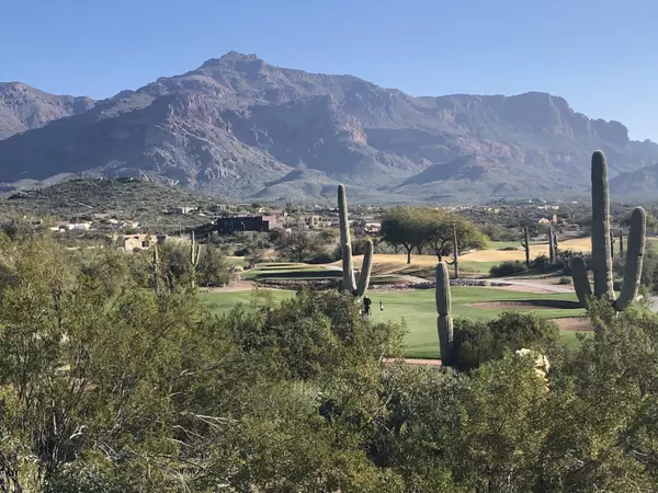 Gold Canyon, AZ 85118,9591 E TEE BOX Court #14